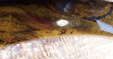 DSCF4390.JPG